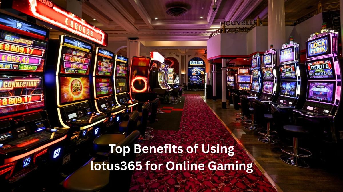 Top Benefits of Using lotus365 for Online Gaming
